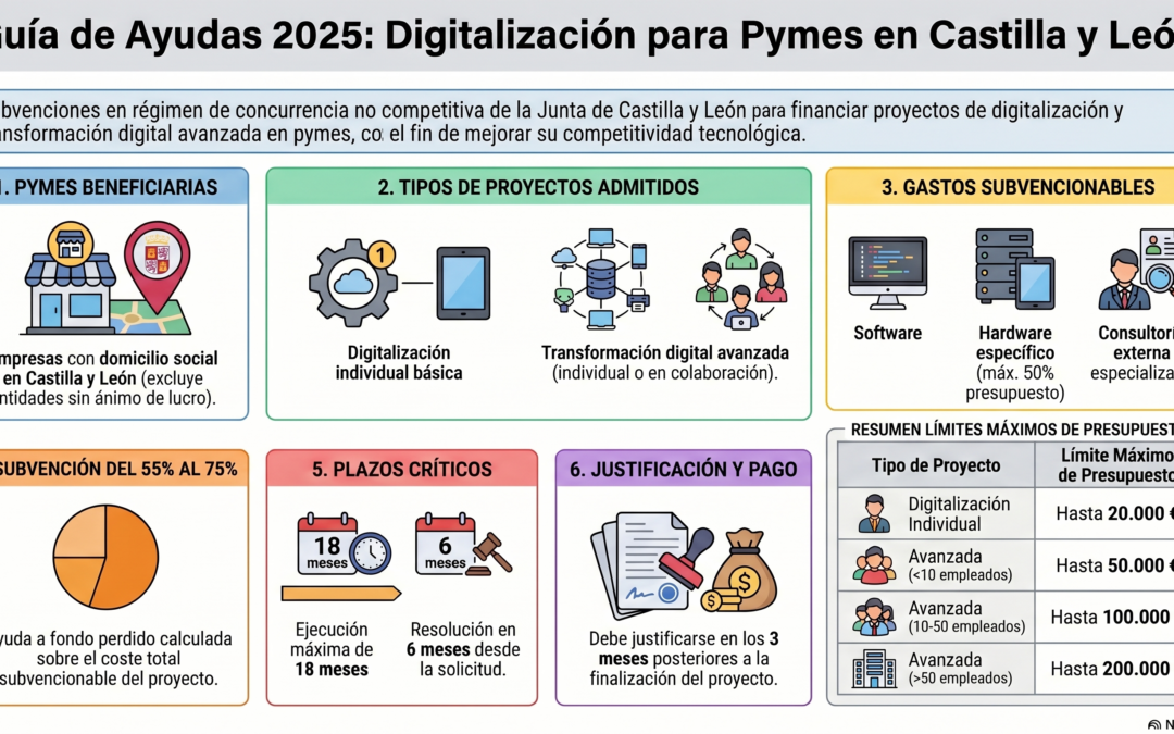 Subvenciones destinadas a favorecer la digitalización y la transformación digital en las Pymes